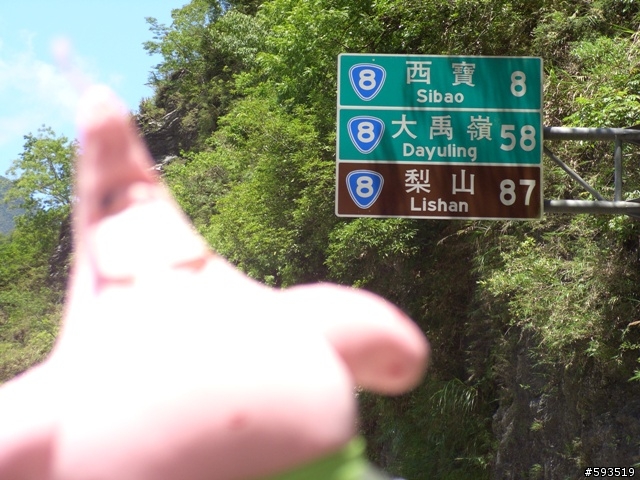 09年一路玩回家  (陽明山->武嶺->清水) [圖爆多]