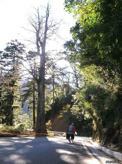 南橫真的很難橫捏~~~