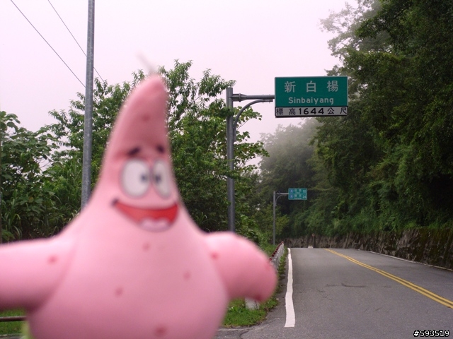 09年一路玩回家  (陽明山->武嶺->清水) [圖爆多]