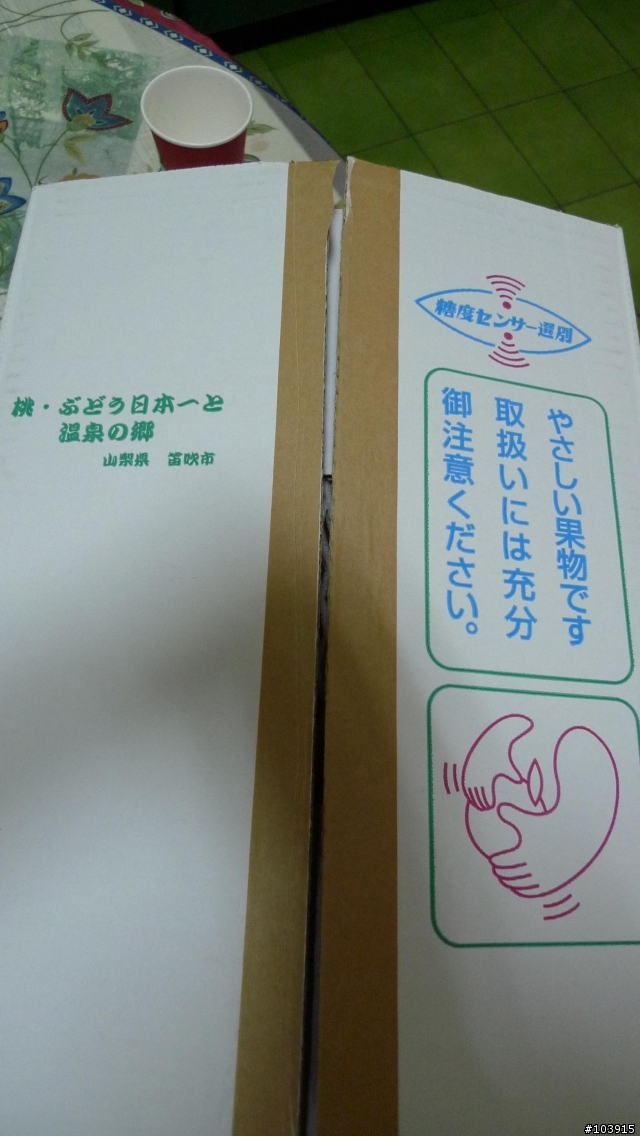來自春日居毛茸茸的小屁屁