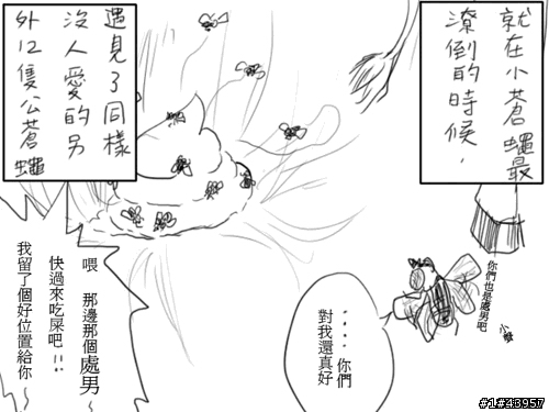 [分享]網路漫畫-蒼蠅的一生
