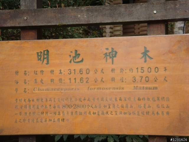 北橫軟腿