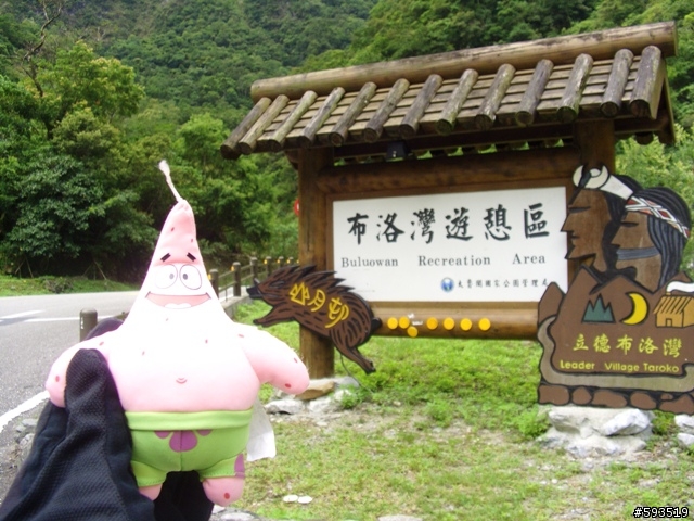 09年一路玩回家  (陽明山->武嶺->清水) [圖爆多]