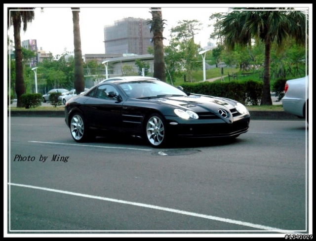 千萬神獸又出來散步了