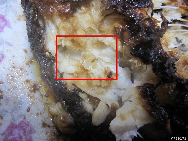 微波爐加熱糖醋魚為什麼會出現結晶？