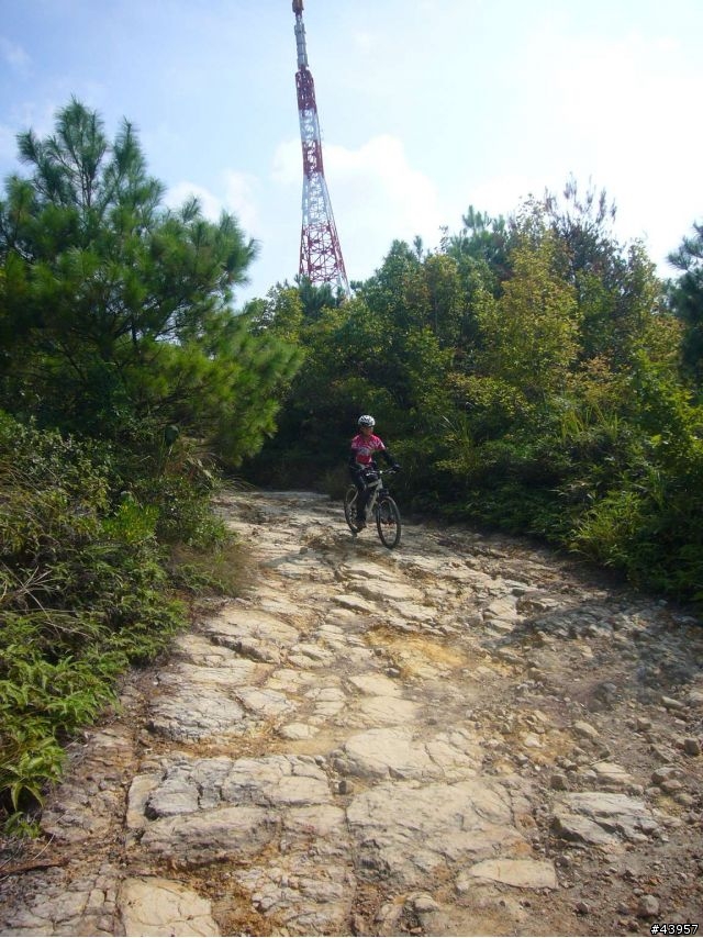 [分享]丹鳳山off road主路線懶人包