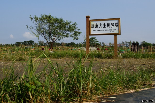 都市中的田園生活～SONY A300隨拍