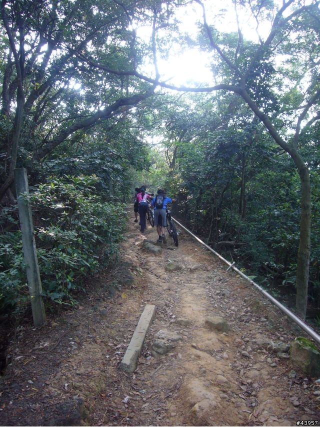 [分享]丹鳳山off road主路線懶人包