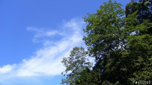 20090801大雪山林道