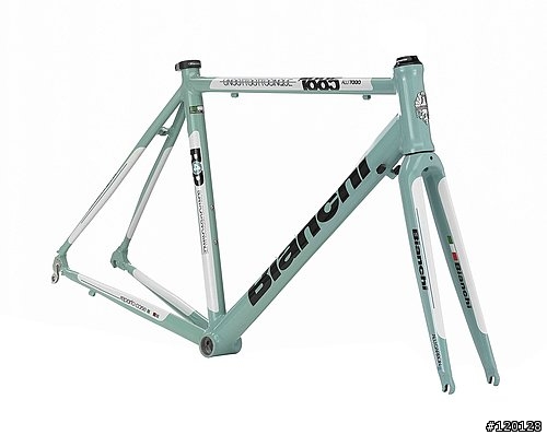 可以請教大家對Bianchi 1885車架的特性與騎成感嗎？