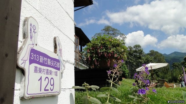 被女王嗆我構圖有問題...請幫幫我找回男人的自信吧..