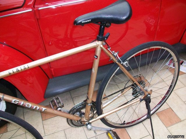 小弟這一生~的第一台捷安特老鋼管