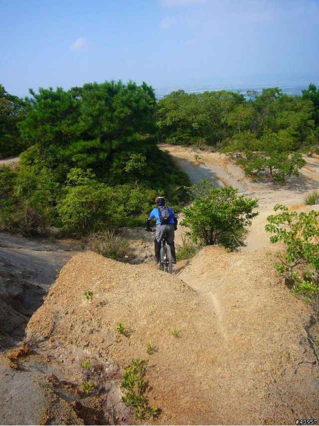 [分享]丹鳳山off road主路線懶人包