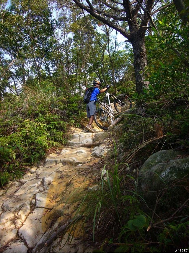 [分享]丹鳳山off road主路線懶人包