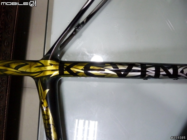 【分享】獨一無二殺很大的Carbon手工彩繪車架-失心瘋的敗家組車1F更新