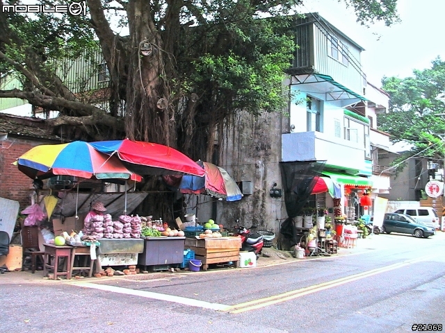 消暑路線98-07-27巴拉卡公路