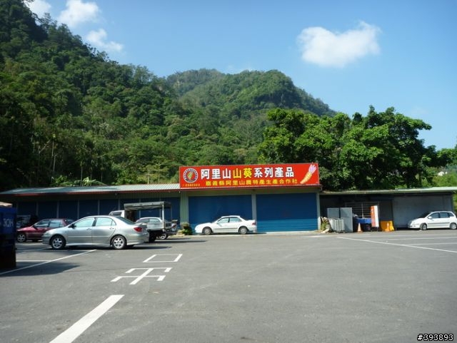 阿里山 ~ 我們能為你做些甚麼？