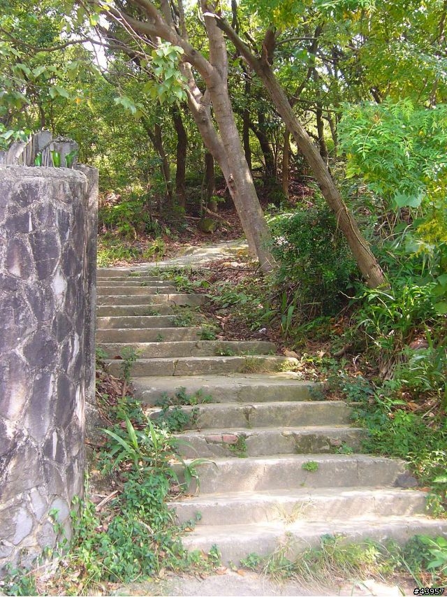 [分享]丹鳳山off road主路線懶人包