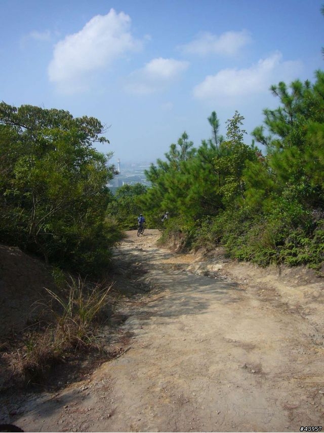 [分享]丹鳳山off road主路線懶人包