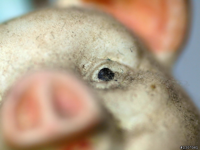 [開箱文]當Vivitar 105mm F2.5 遇上 L1 會擦出什麼火花呢?