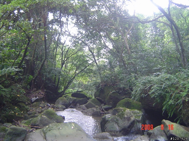 2009~8/16本來行程是廣興,結果迷路騎去獅頭山,騎車不忘迷路的精神所在啦