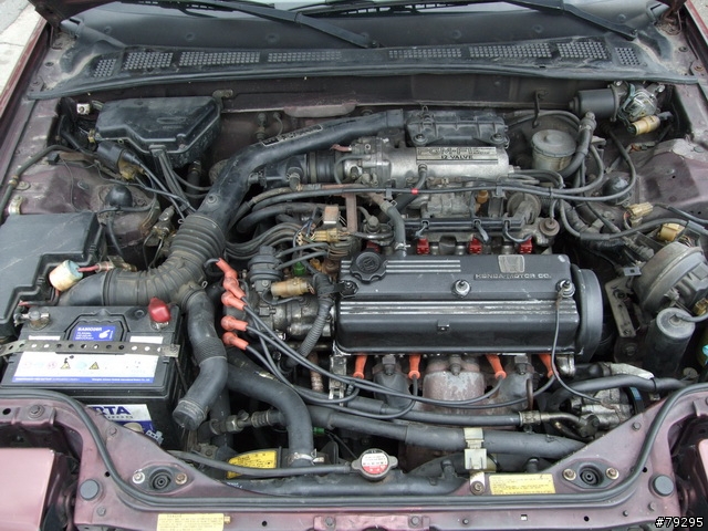 再見了，阿Hon，一路好走-----1樓更新連結~