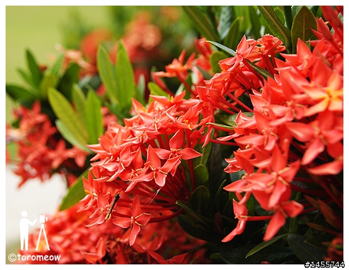 Sony α 心動之旅◆羅東運動公園