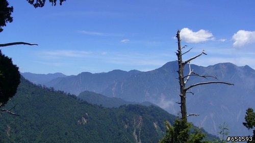 20090801大雪山林道