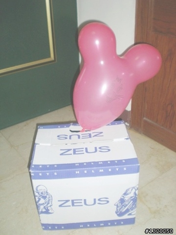 [開箱] 人生第一頂全罩  ZS-803W