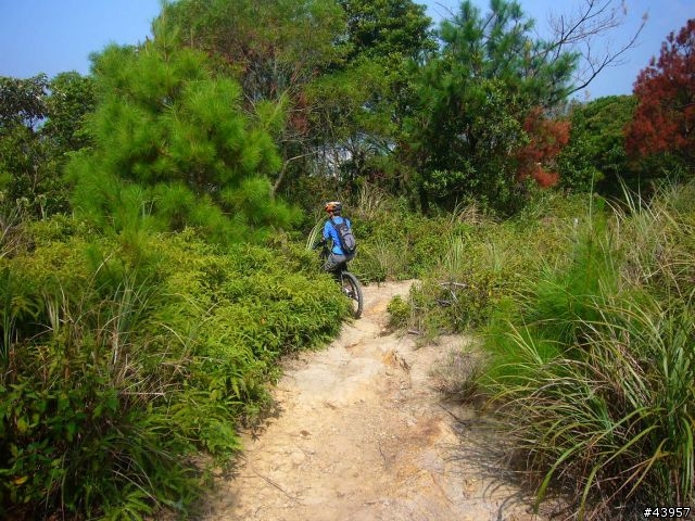 [分享]丹鳳山off road主路線懶人包