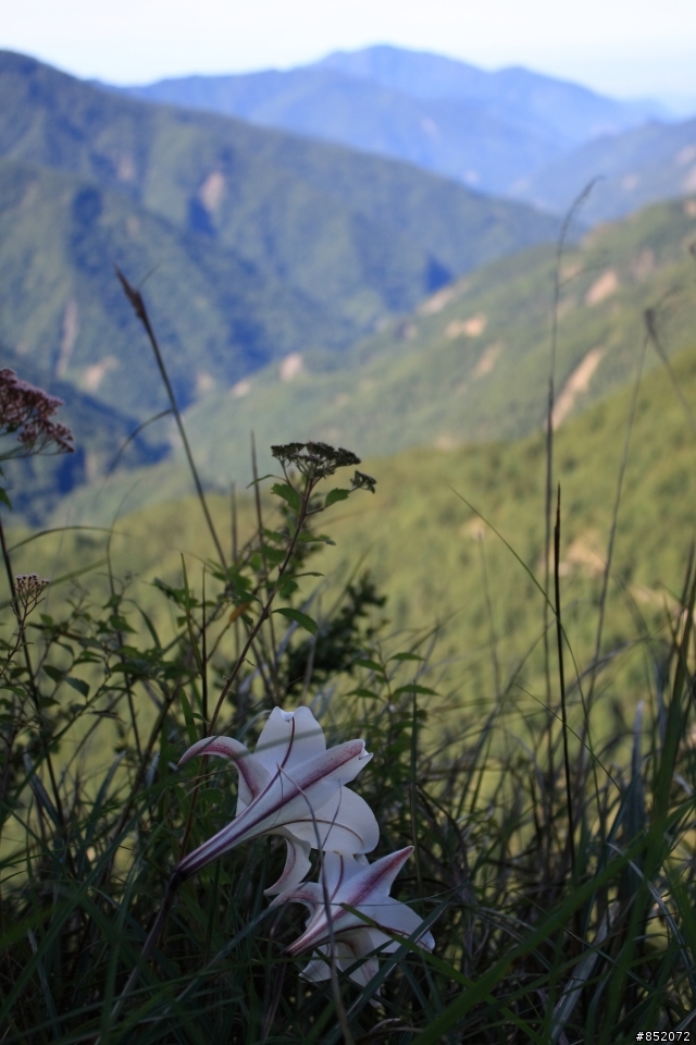 圓峰‧稜線‧完美玉山行