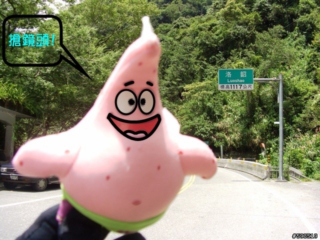 09年一路玩回家  (陽明山->武嶺->清水) [圖爆多]