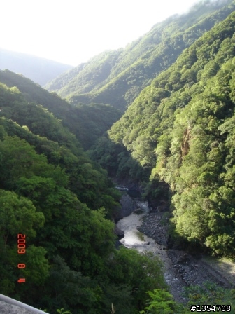 (阿錐宅配中心) 妮妮騎很大團花想吃鴨賞 所以順便完成一日雙北