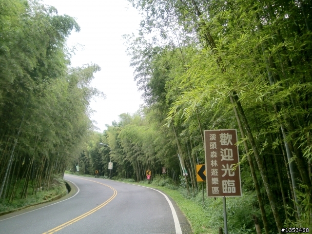 一度想放棄完騎的~台中到杉林溪直達