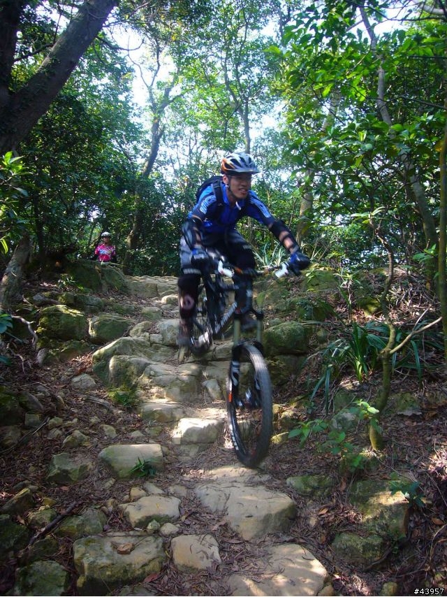 [分享]丹鳳山off road主路線懶人包