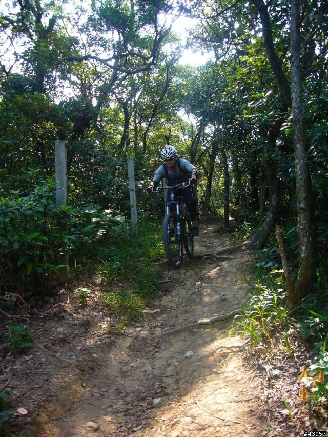 [分享]丹鳳山off road主路線懶人包
