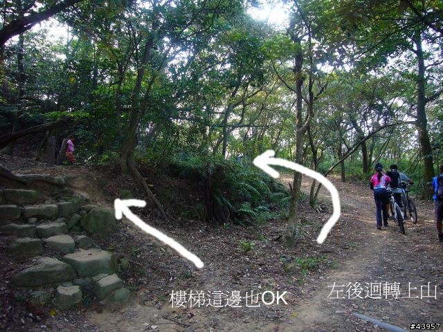 [分享]丹鳳山off road主路線懶人包