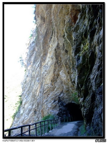 【花蓮】白楊步道