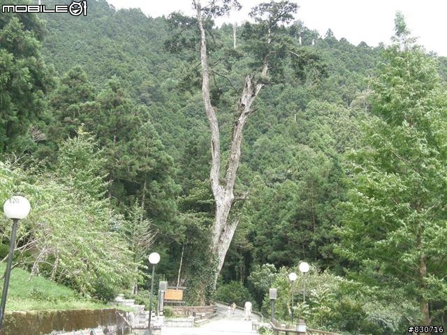 2009-08-25  24段登山車也能一日雙北(夜騎北宜)附圖83張