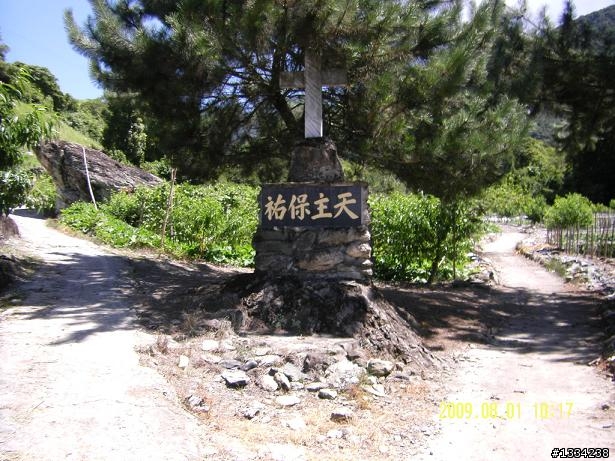 隱世獨立的桃花源~梅園竹村步道