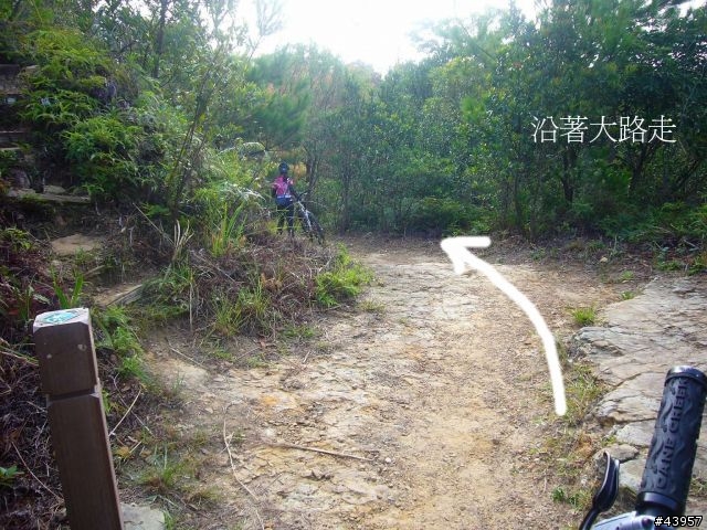 [分享]丹鳳山off road主路線懶人包