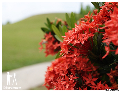 Sony α 心動之旅◆羅東運動公園