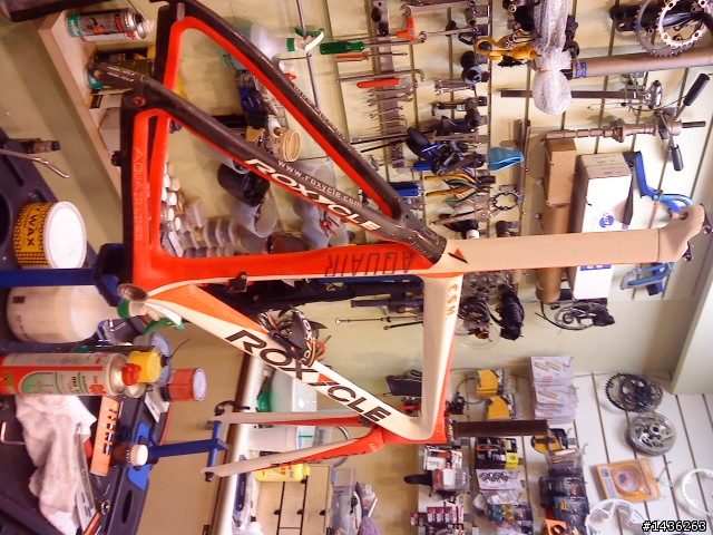 簽到囉ROXYCLE.....希望我不是孤兒
