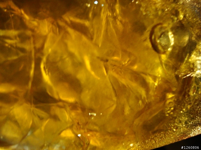 夏天就是要有啤酒!!