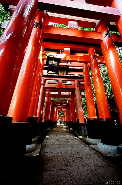 寬廣你的視野～Voigtlander Super Wide-Heliar 15mm