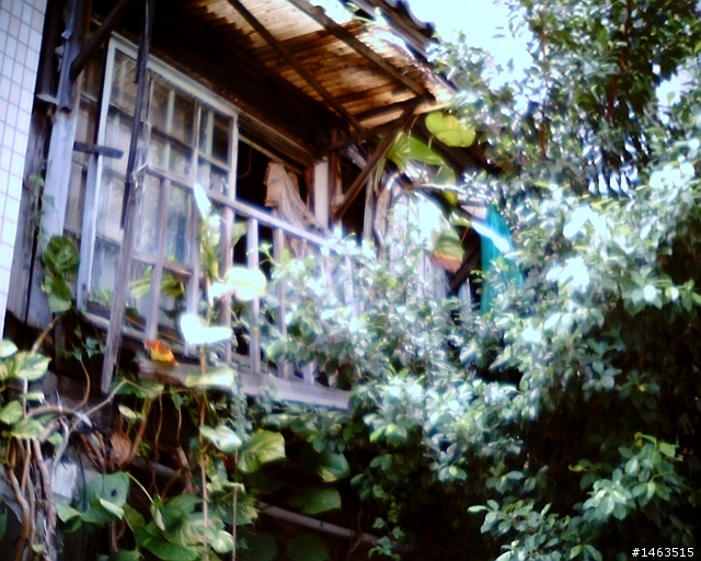 VQ1015來蓋樓吧(也歡迎其他LOMO玩具相機亂入,請註明型號GENIE III.VQ1005)