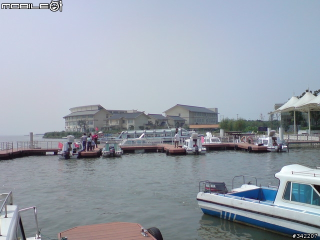 09年九月首發-陽澄胡大閘蟹 陽澄湖蓮花島