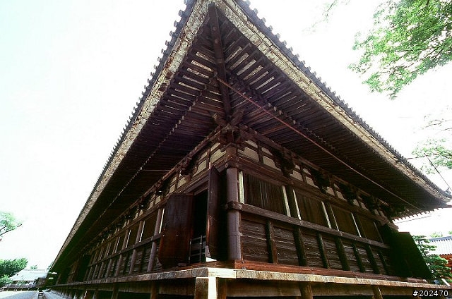 寬廣你的視野～Voigtlander Super Wide-Heliar 15mm