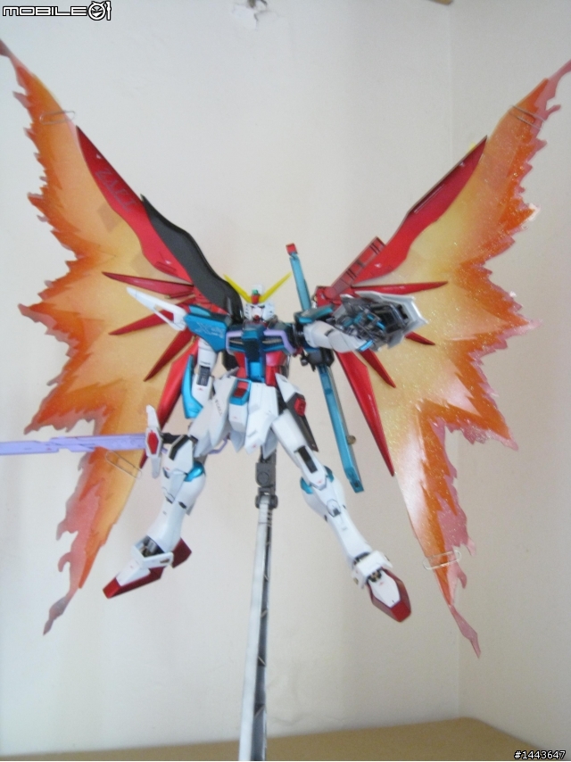 分享-自製MG命運光之翼-飛鳥真的怒吼