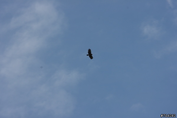 ［請教］這是CCD上有灰塵還是壞點?